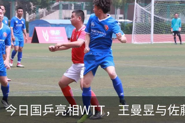 今日国乒亮相WTT，王曼昱与佐藤瞳争双冠，周启豪迎战松岛辉空